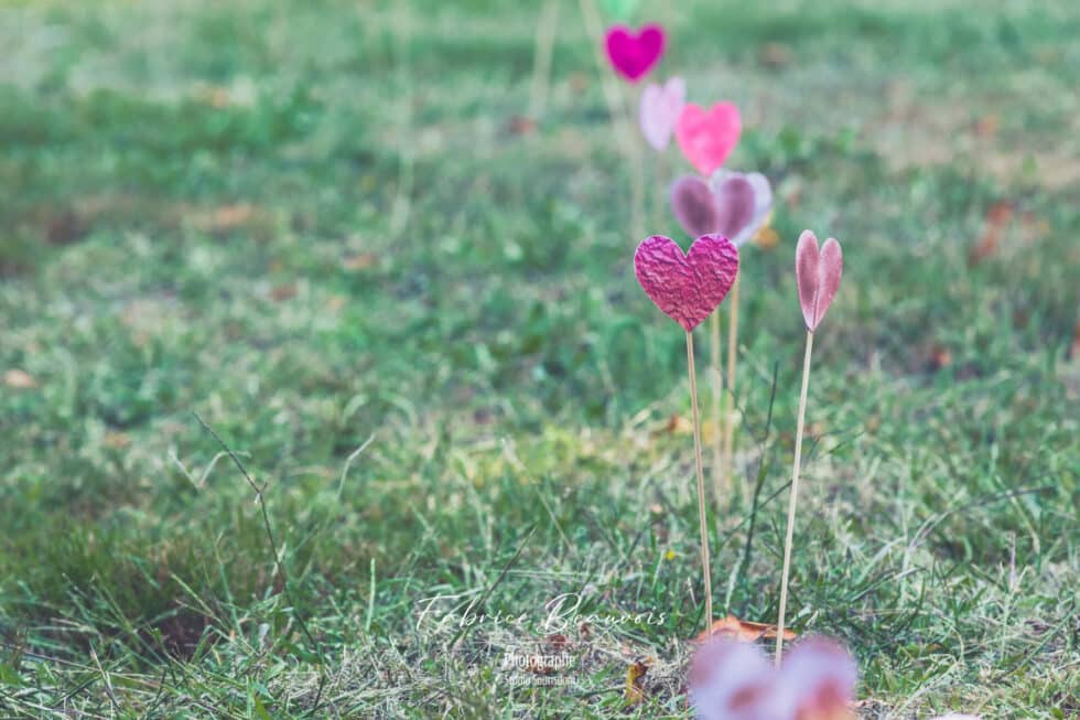 Décorations disposées sur tout le chemin des mariés menant les invités à la cérémonie