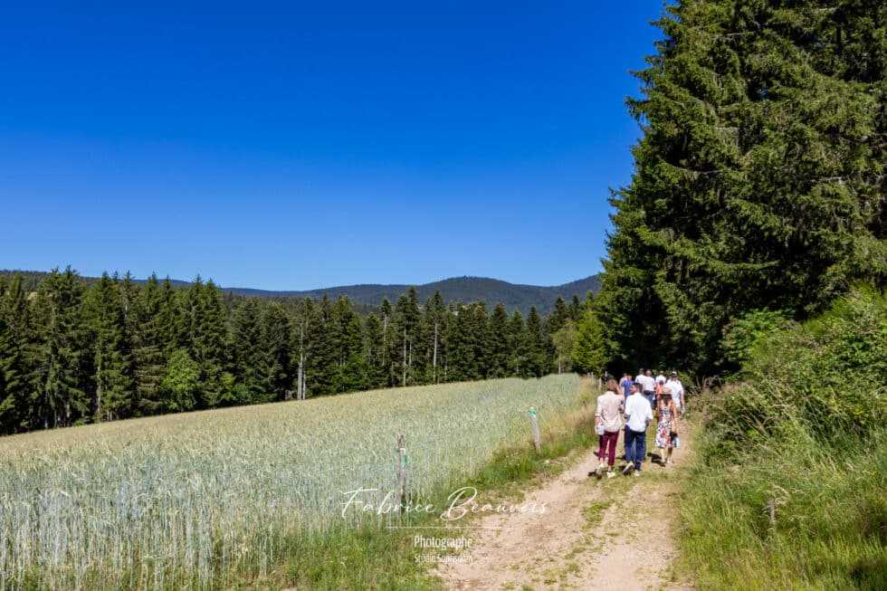 Randonnée avec les invités d'un mariage pour se rendre sur le lieu de réception