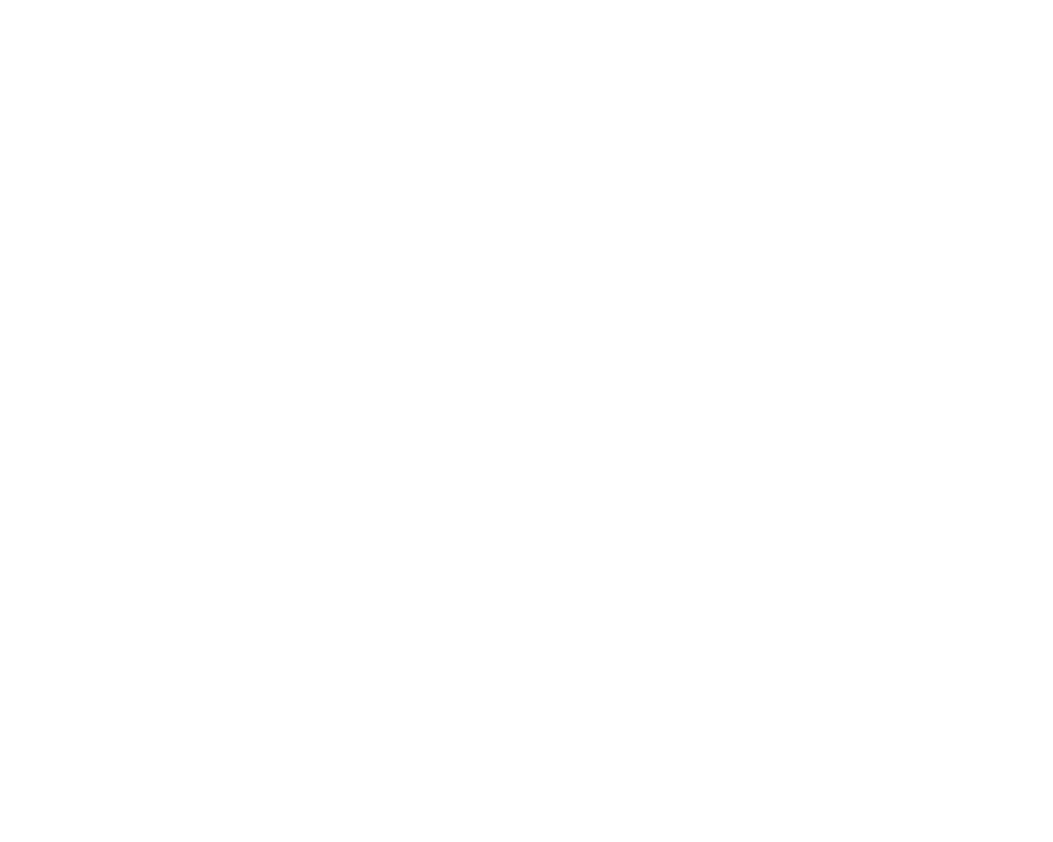 Logo Studio Sourisdom blanc transparent